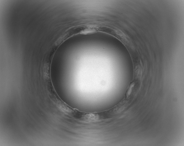 X0000071920421200607212113