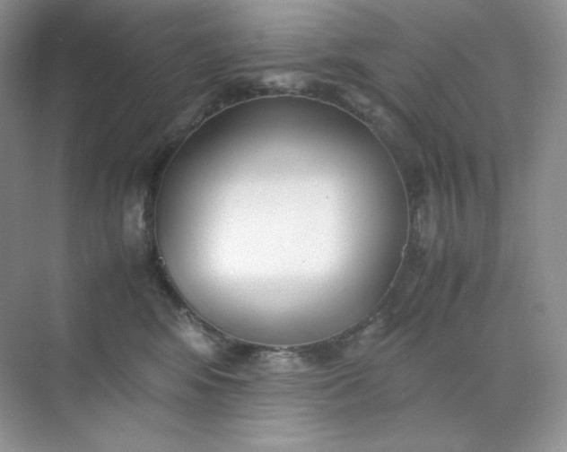 X0000071920424200607212113