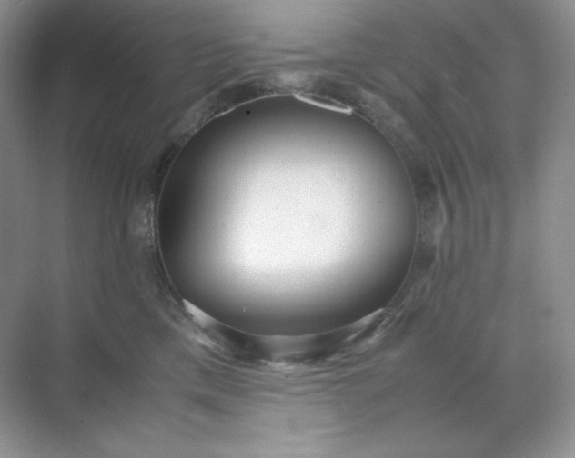X0000071920425200607212113