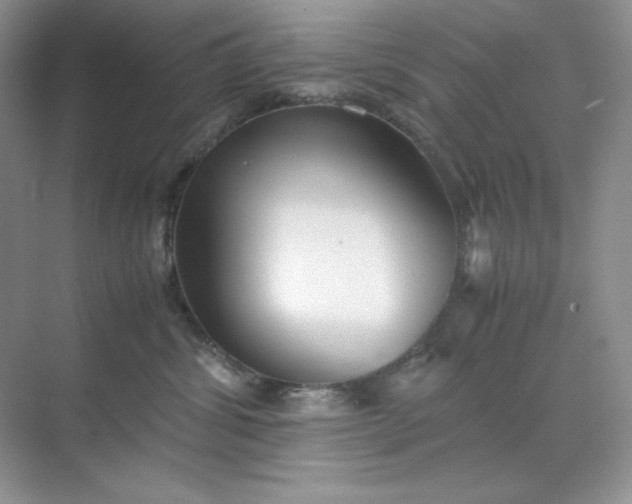 X0000071920428200607212113