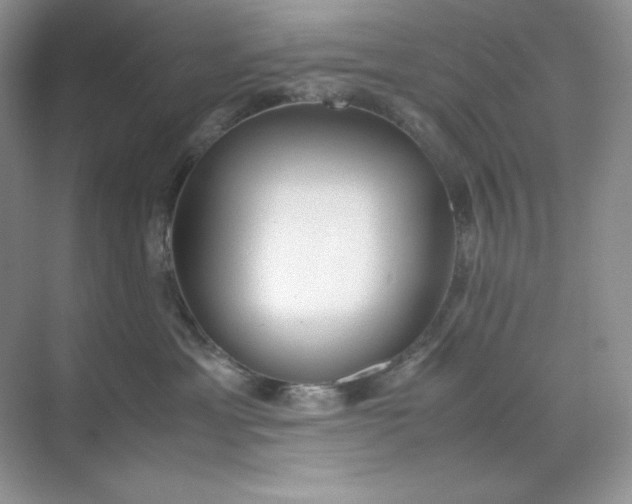 X0000071920429200607212113