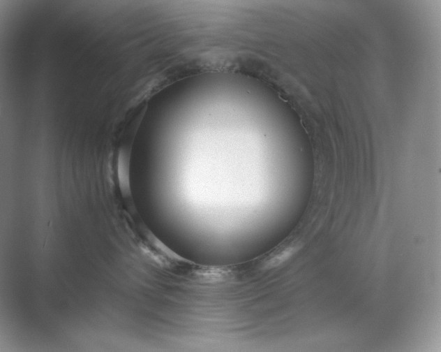 X0000071920432200607212113