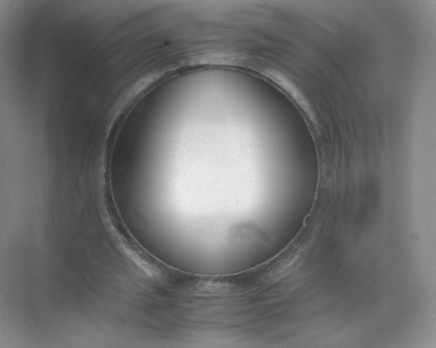 X0000071920437200607212112