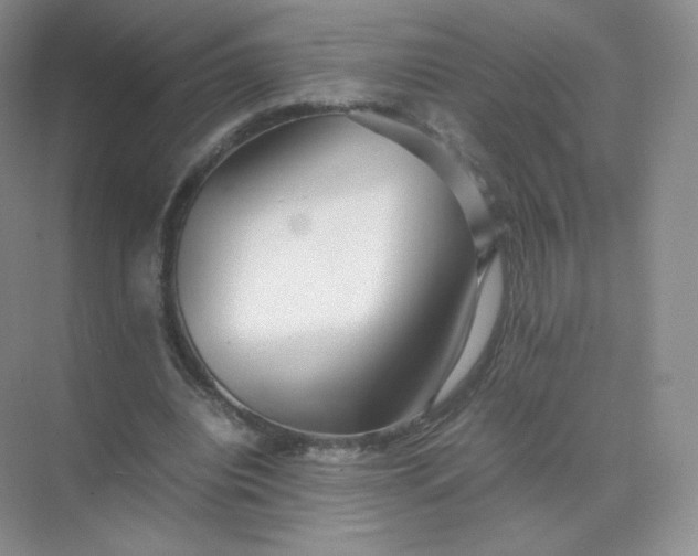 X0000071920440200607212112