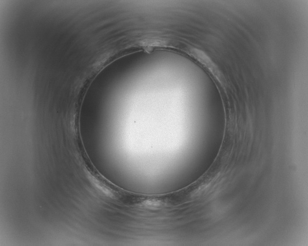 X0000071920441200607212112