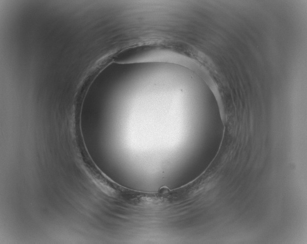 X0000071920442200607212112