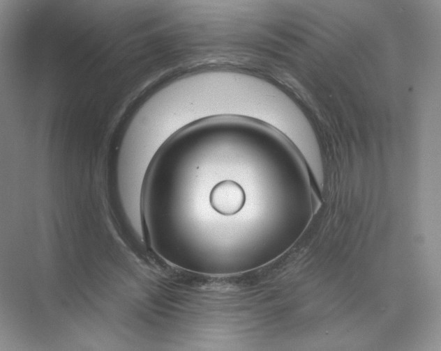 X0000071920444200607212112