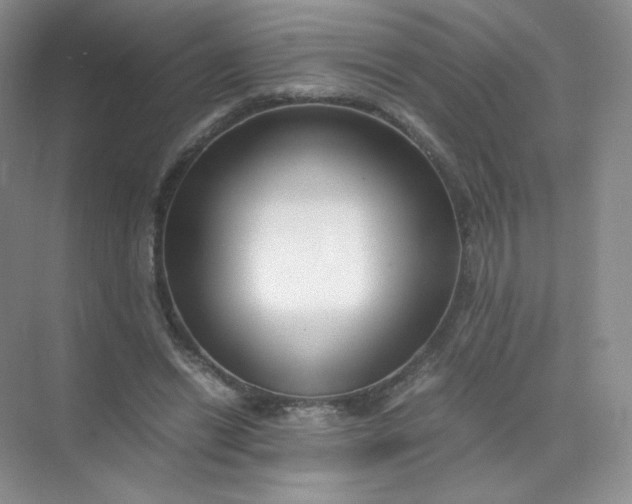 X0000071920446200607212112