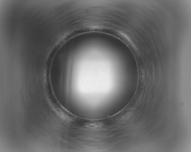 X0000071920447200607212112