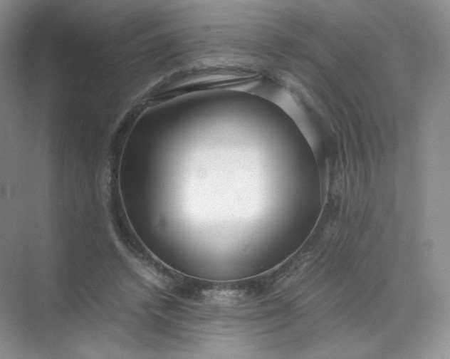 X0000071920448200607212112