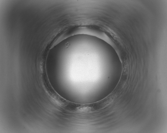 X0000071920452200607212112