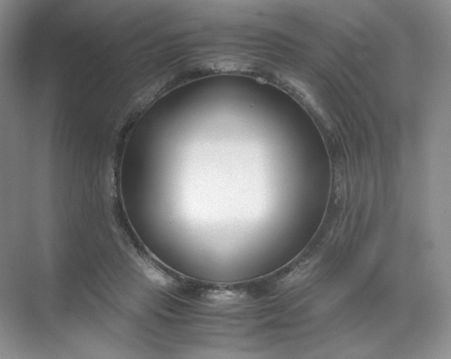 X0000071920453200607212112