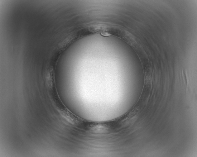 X0000071920460200607212112