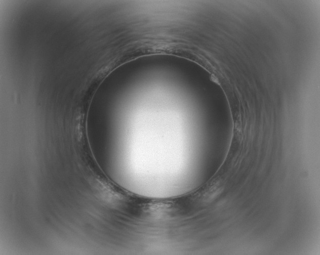 X0000071920462200607212112
