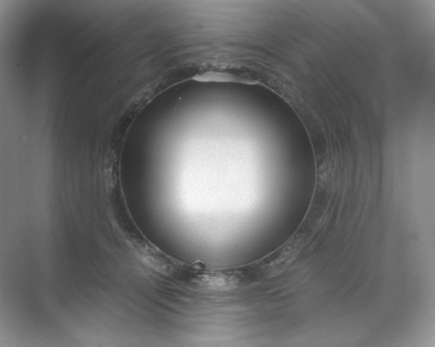 X0000071920464200607212112