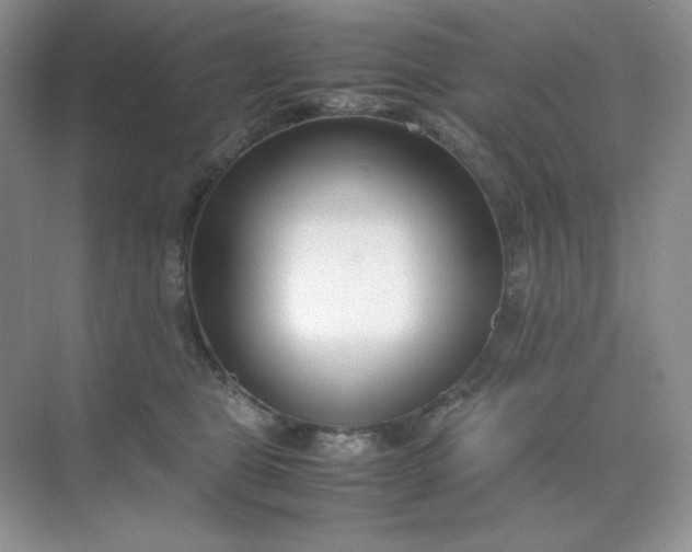 X0000071920469200607212113