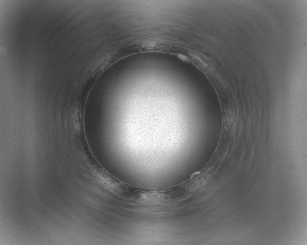 X0000071920470200607212113