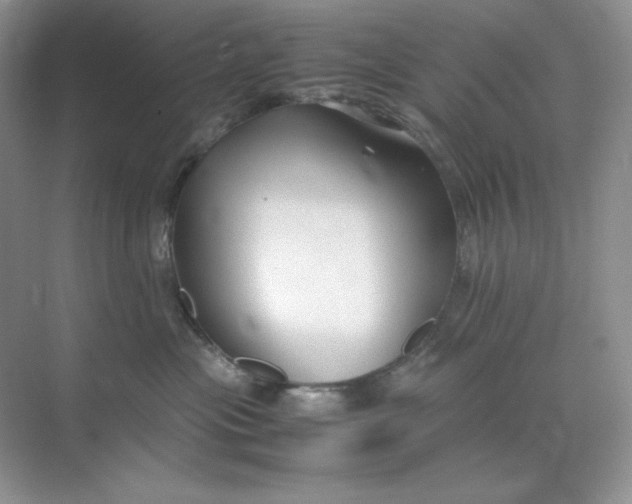 X0000071920477200607212113