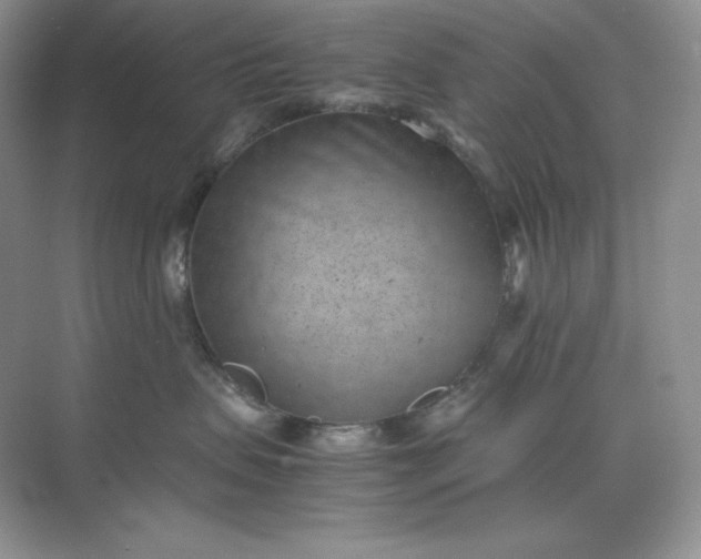 X0000071920479200607212113