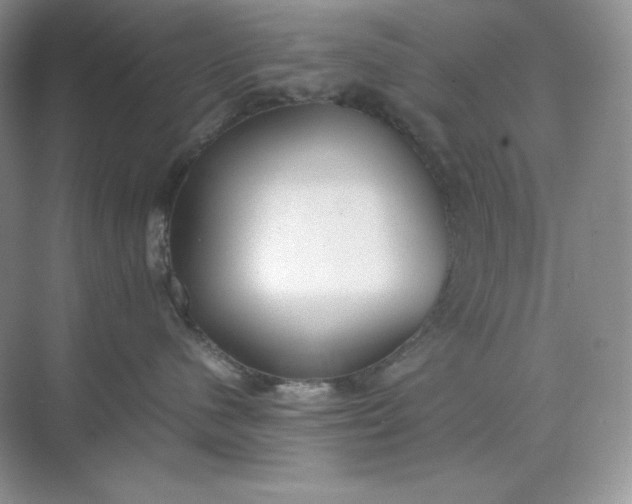 X0000071920480200607212113