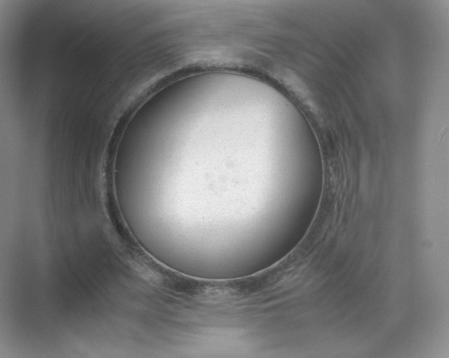 X0000071920487200607212112