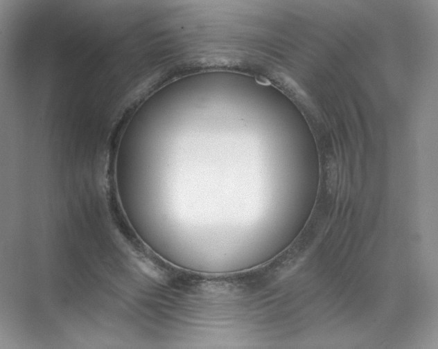 X0000071920490200607212112