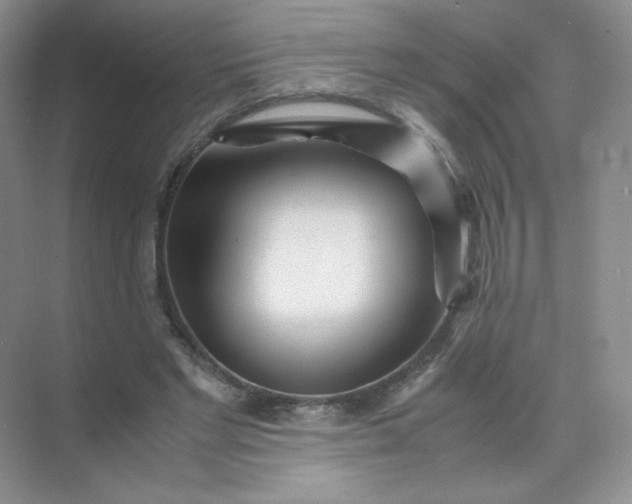 X0000071920493200607212112