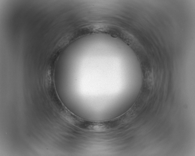 X0000071920506200607212111