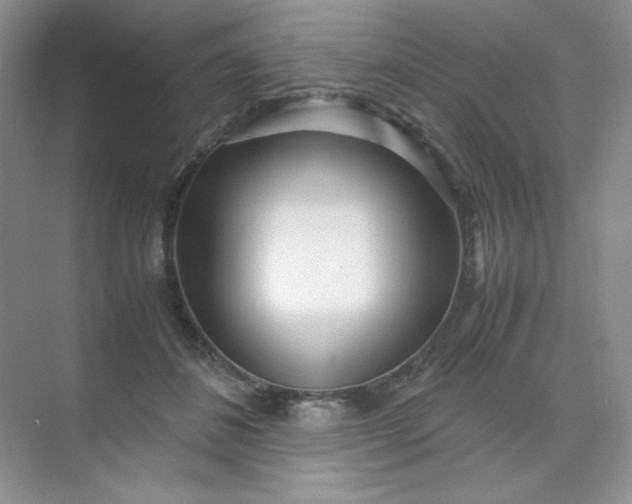 X0000071920508200607212111