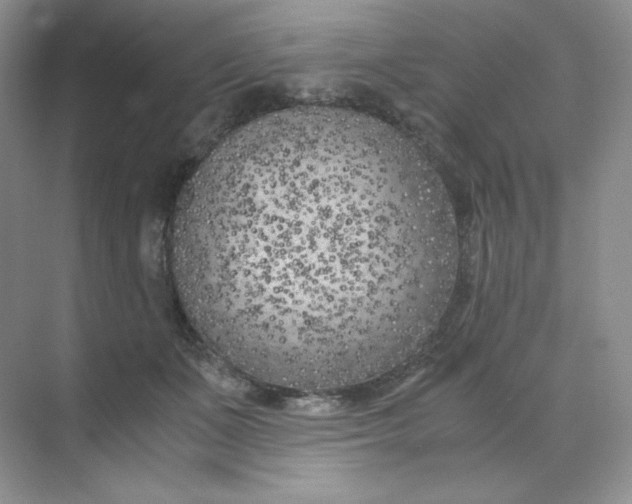 X0000071920511200607212111