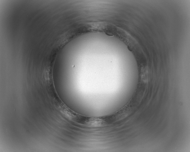 X0000071920514200607212111