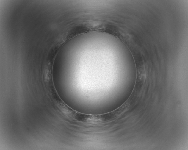 X0000071920515200607212111