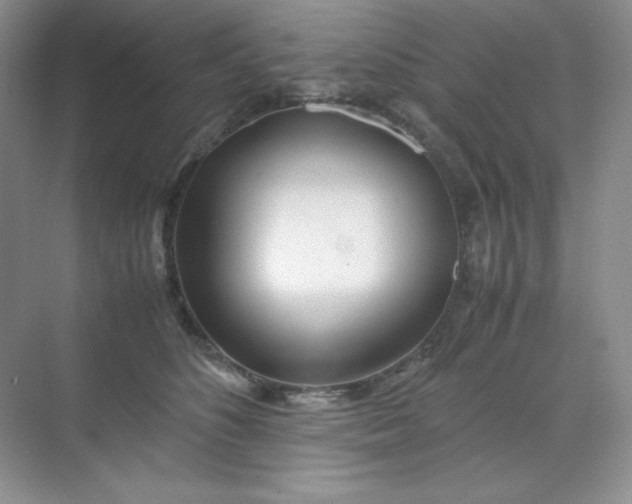 X0000071920516200607212111