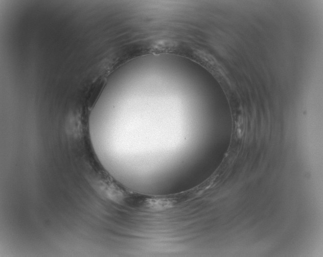 X0000071920520200607212111