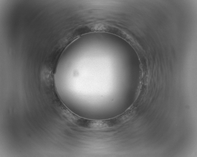 X0000071920521200607212111