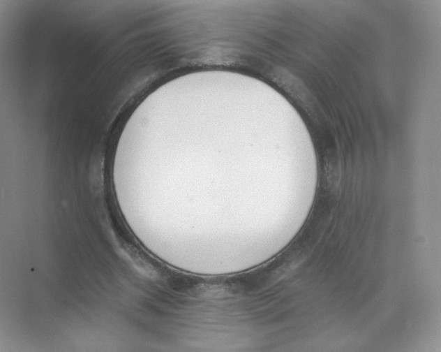 X0000071920534200607212110