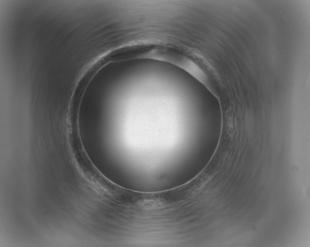 X0000071920536200607212110