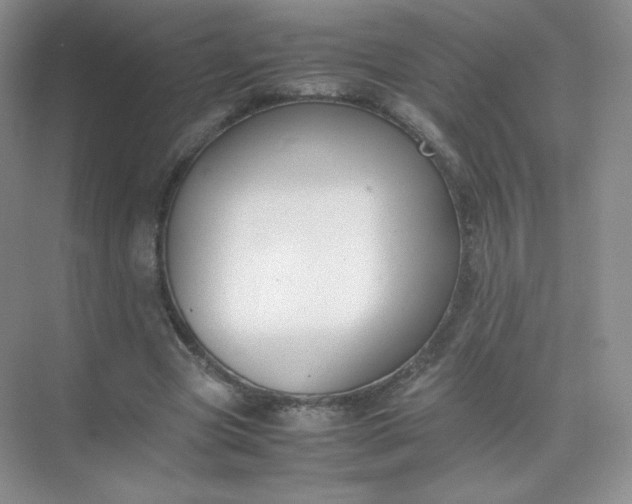 X0000071920537200607212110