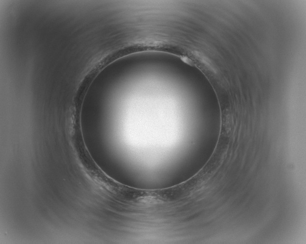 X0000071920544200607212111
