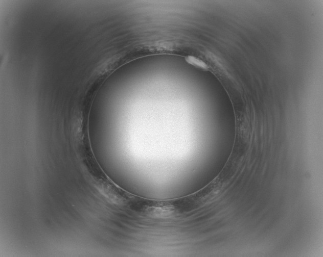 X0000071920548200607212111