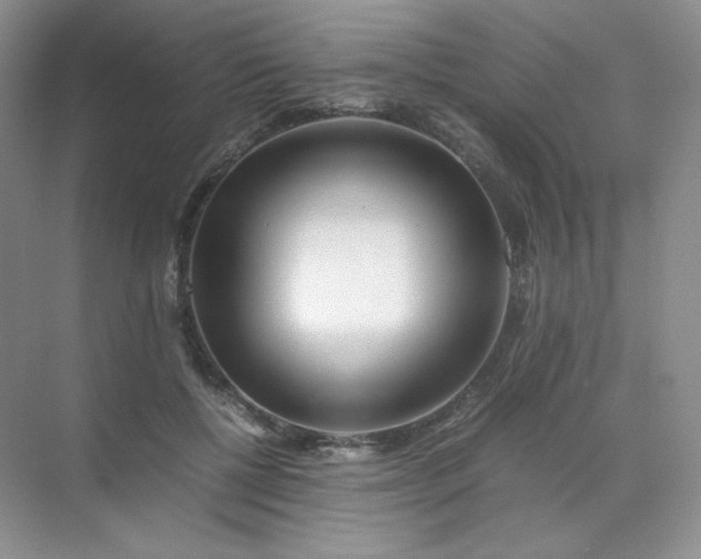 X0000071920552200607212111