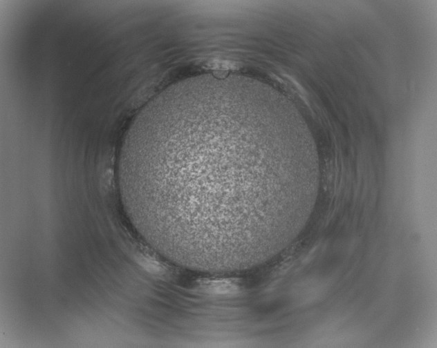 X0000071920553200607212111