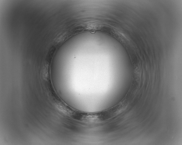 X0000071920554200607212111