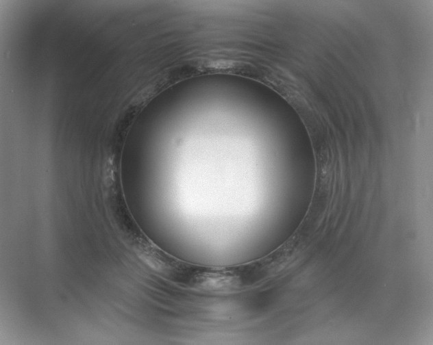 X0000071920555200607212111