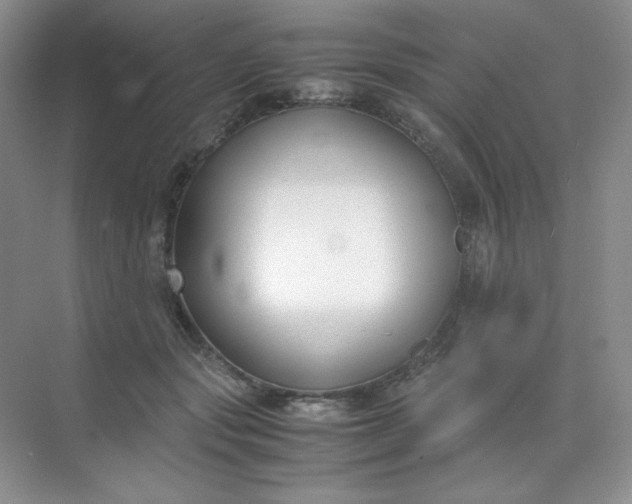 X0000071920557200607212111