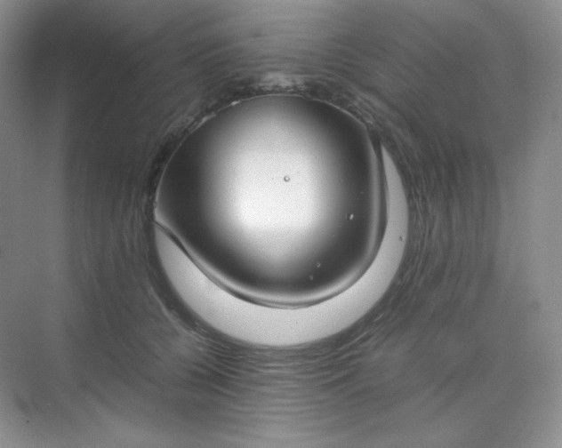 X0000071920560200607212111