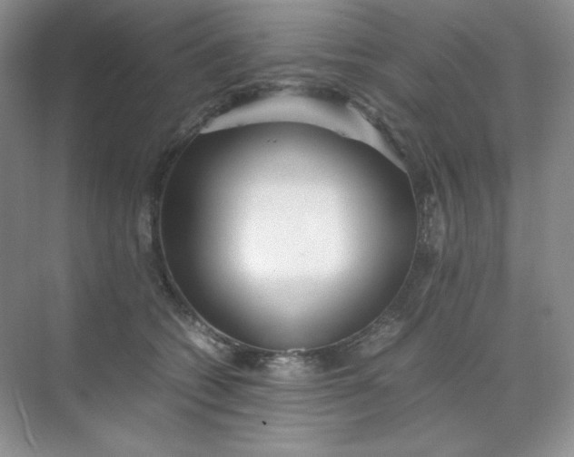X0000071920562200607212111