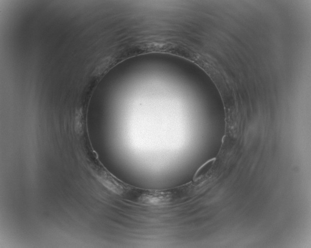 X0000071920563200607212111