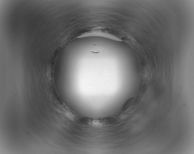 X0000071920565200607212111