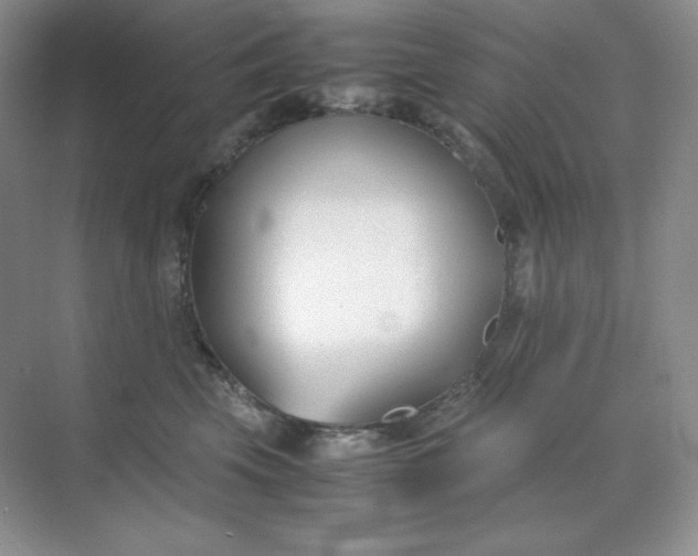 X0000071920569200607212111